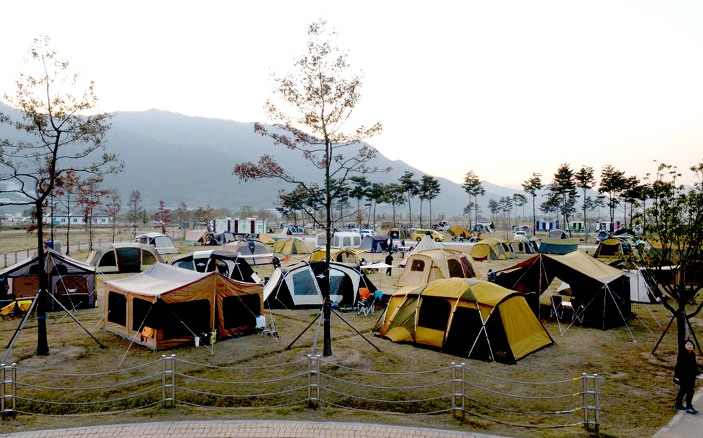 장 캠핑 황산 공원 [3년 전
