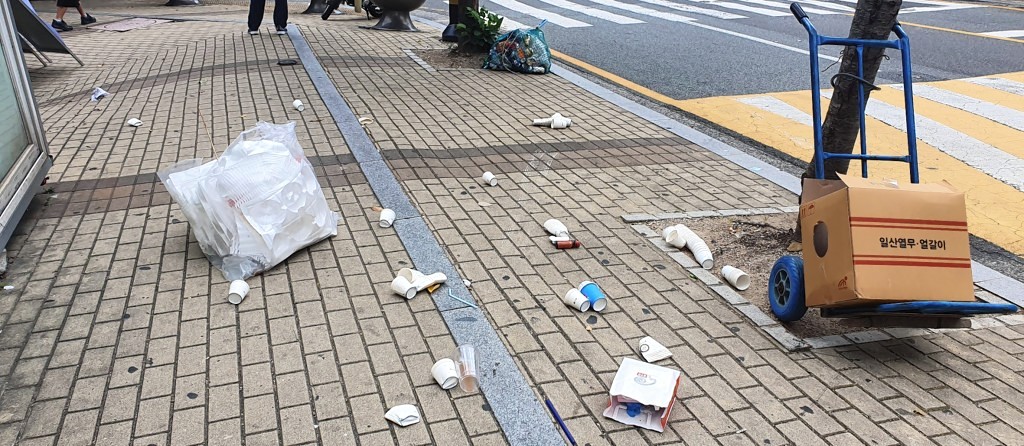 울산 동구 명절연휴 쓰레기 투기로 몸살시민의식 개선 필요 1556